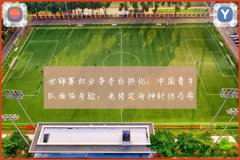 世锦赛积分争夺白热化，中国青年队面临考验，老将定海神针仍存希望