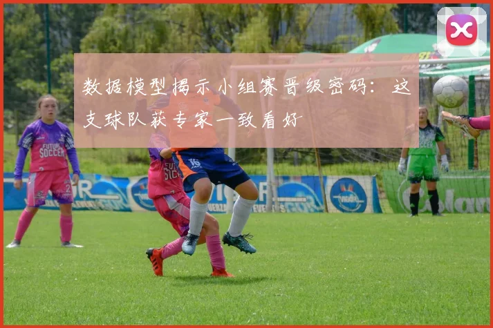数据模型揭示小组赛晋级密码：这支球队获专家一致看好