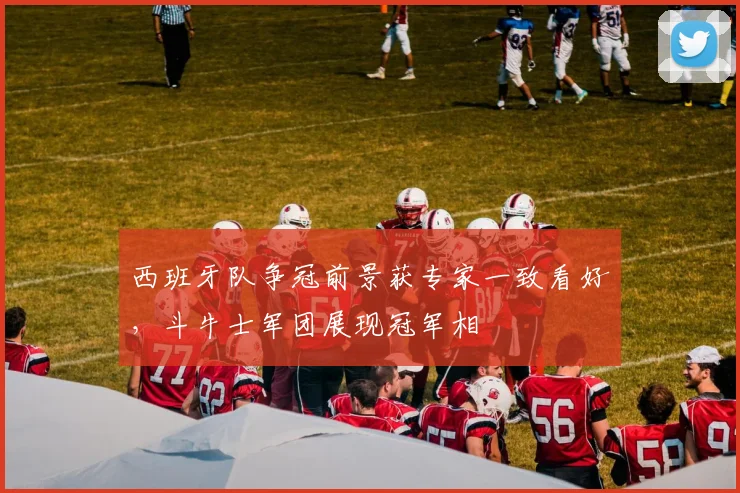 西班牙队争冠前景获专家一致看好，斗牛士军团展现冠军相