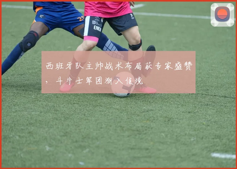 西班牙队主帅战术布局获专家盛赞，斗牛士军团渐入佳境