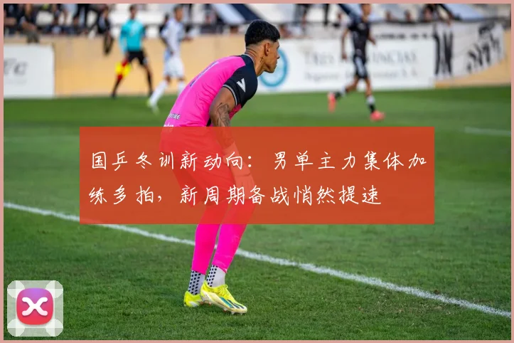 国乒冬训新动向：男单主力集体加练多拍，新周期备战悄然提速